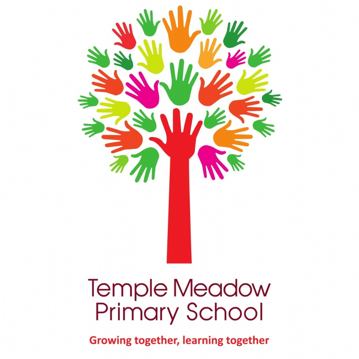 Temple Meadow Primary School - Our New Website!